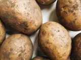 Las patatas son unos de los tubérculos principales de España.