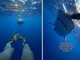 Dos capturas del vídeo que muestra cómo actuar si se nos acerca un tiburón.