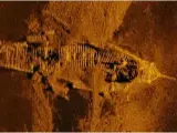 Imagen de los restos subacuáticos hallados en el Índico.