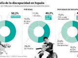 La discapacidad en España.