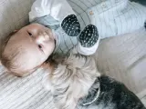 Un bebé tumbado en la cama junto a su perro.