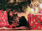 Un gato recostado junto a unos regalos de Navidad.