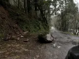 Los desprendimientos de rocas en la carretera dificultan el acceso al Parque Nacional As Fragas do Eume.