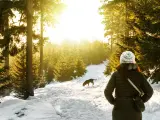 Un perro paseando con su tutora en la nieve.