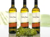 Catadores y prescriptores del sector vinícola coinciden en destacar la calidad de los verdejos de Bodega Cuatro Rayas.