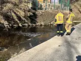 Los bomberos inspeccionan el río Anoia a la altura de La Pobla de Claramunt.