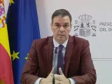 Pedro Sánchez este domingo durante la videoconferencia