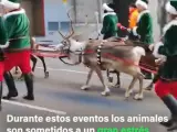 Algunos renos tirando de un trineo en Oviedo.