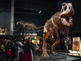 Exposición Dinosaurios de la Patagonia en el Museo de la Ciencia CosmoCaixa, en Barcelona.