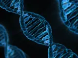 En el futuro, algunas enfermedades se podrán curar reparando el código genético. Este 2024 se realizará el primer ensayo con humanos de una proteína capaz de destruir el colesterol malo en el ADN, lo cual ayudaría a pacientes con hipercolesterolemia. Ya se realizó con éxito en monos.
