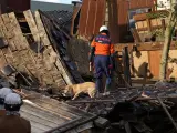 Una anciana de 80 años fue salvada de morir bajo los escombros de su casa, derrumbada por el terremoto de magnitud 7,6 que sacudió Japón el pasado lunes 1 de enero, al ser encontrada por un perro de rescate de los bomberos de Osaka