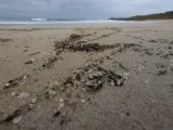 Millones de pellets de plástico llevan días llegando a playas gallegas.