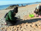 La aparición de grandes cantidades de pequeñas bolas de plástico blancas, pellets, en varias playas gallegas ha puesto en alerta a entidades ecologistas que piden a las autoridades actuar de forma inmediata para evitar un desastre medioambiental.