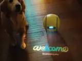 El robot rodante puede cuidar de tu mascota cuando no estás en casa y darte la bienvenida cuando llegues.
