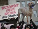-FOTODELDIA- Seúl (Corea del Sur), 09/01/2024.- Miembros de grupos animalistas sostienen pancartas para celebrar la aprobación de una ley que prohíbe el comercio de carne de perro, en la Asamblea Nacional de Soeul, Corea del Sur, 9 de enero de 2024. EFE/JEON HEON-KYUN