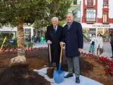 El alcalde, José Luis Sanz y el presidente de la Cámara de Comercio plantando el ficus de la Encarnación