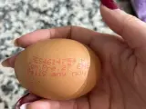 Mensaje impreso en la cáscara de un huevo.