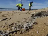 Operarios retiran pellets de una playa gallega.