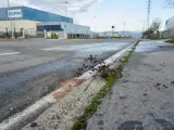 Lugar del polígono industrial de Júndiz (Vitoria) donde se ha producido el fatal accidente.
