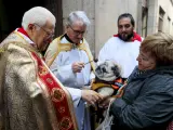 El padre Ángel asiste a la bendición de un perro durante la celebración de San Antón, el patrón de los animales, que se celebra en Madrid.