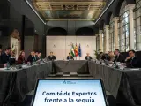 El presidente de la Junta de Andaluc&iacute;a, Juanma Moreno, preside la tercera reuni&oacute;n del comit&eacute; de expertos contra la sequ&iacute;a.