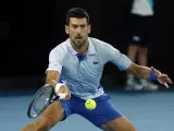 Novak Djokovic ante Mannarino.