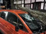 Un árbol destroza un coche en Irlanda como consecuencia de la tormenta Isha.