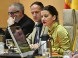La ministra de Juventud e Infancia, Sira Rego (1d), comparece durante la Comisión de Juventud e Infancia en el Congreso de los Diputados, a 24 de enero de 2024, en Madrid (España).