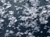 La meteorología clasifica los cristales de nieve en 80 subtipos diferentes, divididos en 8 grupos.