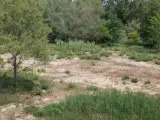 El río Muga, seco, en Castelló d'Empúries.