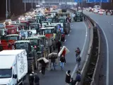 Los agricultores franceses siguen atacando camiones españoles o italianos con productos perecederos. Los que circulan por las carreteras francesas se arriesgan a perder su carga. Eso sí pueden avanzar porque al menos diez autopistas están bloqueadas.