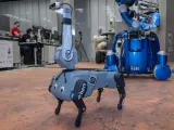 Así es Bert, el perro robot que Alemania quiere mandar a Marte para explorar terrenos difíciles.