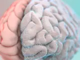 Imagen 3D de cerebro con hemisferio de implantes neuronales.