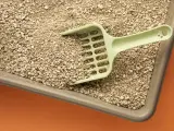 La arena de los gatos se comercializa en numerosos materiales de tipo natural, de tipo mineral y de sílice.