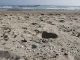 Pellets acumulados sobre la arena de la playa de La Pineda en Tarragona.