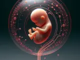 Los creadores del útero artificial posiblemente comiencen con sus ensayos clínicos en humanos este año.