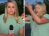 Reportera atacada por un enjambre de mosquitos.