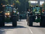 Varios tractores durante las protestas de agricultores, en una imagen de archivo.