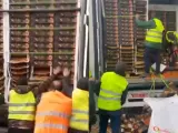 Agricultores tiran tomates procedentes de Marruecos en medio de la carretera a la altura de Jerez