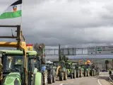 Tractores se concentran frente a la rotonda de Agricultura de Mérida que conecta la A-5 con la nacional 630, en la cuarta jornada de protestas de los ganaderos y agricultores en Mérida y Badajoz.