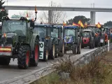 Tractores se dirigen a Zaragoza por la carretera N-330 durante la cuarta jornada de protestas de los ganaderos y agricultores.