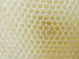 Un panal de abeja.