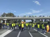 Imagen del corte de carretera en la autopista AP-4 que han protagonizado este sábado agricultores de la provincia de Sevilla en Las Cabezas de San Juan.