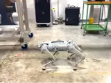 CERNquadbot o Robodog es un perro robótico capaz de detectar fugas de radiación ionizante.