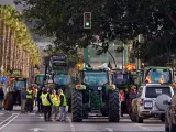 Cientos de agricultores y ganaderos cortan las principales calles de acceso a la capital con sus tractores por la competencia desleal de Marruecos y los bajos precios de mercados de los productos agrícolas a 6 de febrero de 2024 en Málaga, Andalucía.