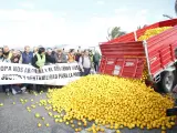 Agricultores y ganaderos sostienen pancartas frente a un centenar de limones en el suelo en una manifestación en Alicante.