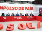 El secretario general del PSOE, Pedro Sánchez, preside la reunión de la Ejecutiva Federal de su partido este lunes en Madrid.