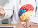 El tejido cerebral impreso en 3D permitir&aacute; estudiar mejor la actividad del cerebro en laboratorios.
