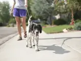 Persona paseando a un perro.
