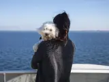 Los perros pueden hacer una ruta en catamarán en la Ribeira Sacra.